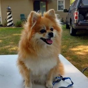 Meet your Posher, Heather